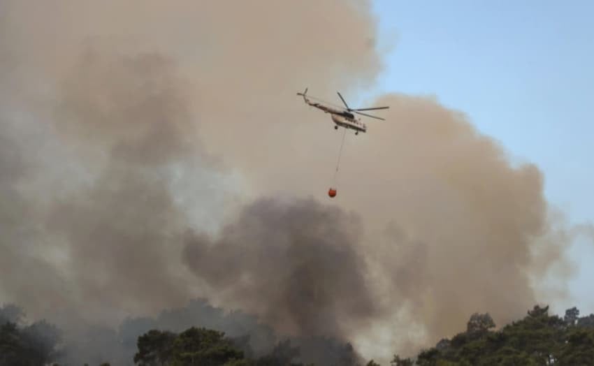 Požar uničil več kot 1000 hektarjev gozda v Novem Zelandu