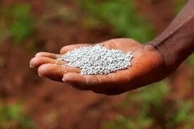 Војната во Иран го поскапе вештачкото ѓубриво, расте стравот од зголемување на цените на храната