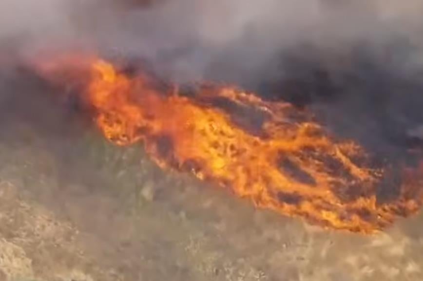 Видео: Евакуации во јужна Калифорнија поради брзорастечки шумски пожар