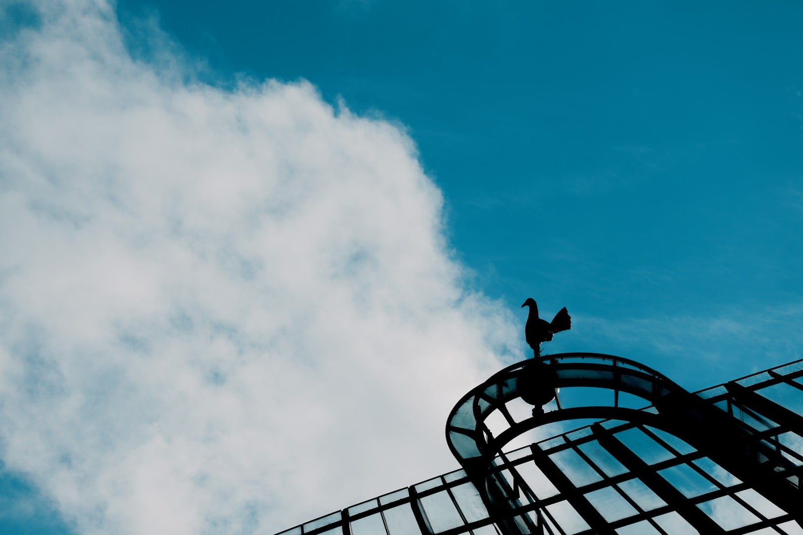 Дали тоа ќе биде “новиот Дортмунд“: Тотенхем добива нов спортски директор!