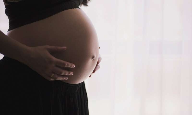 2-pregnancy