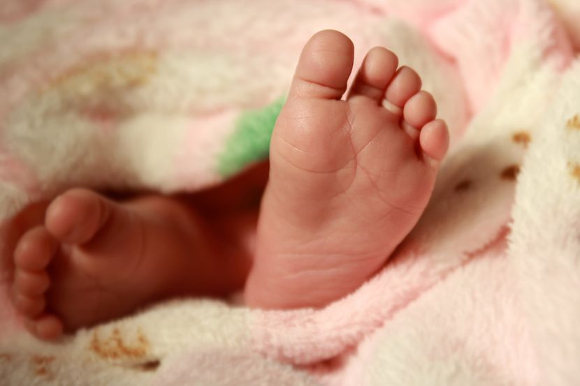 bebe
