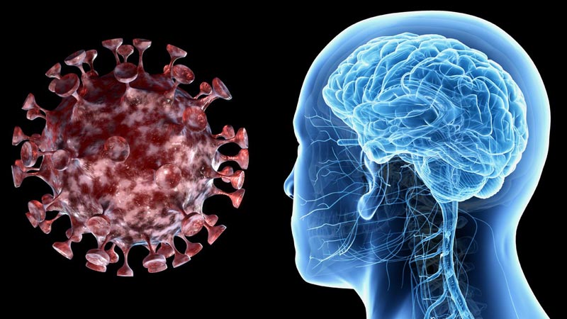 dt_200406_coronavirus_covid-19_brain_800x450