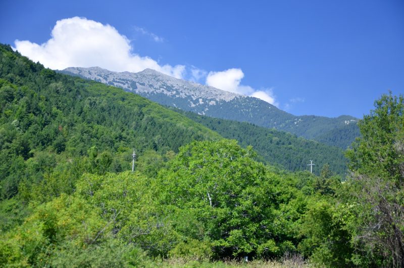 пелистер-800x530