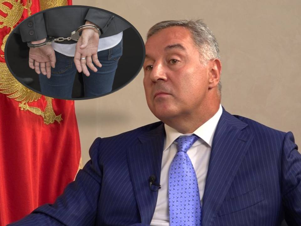 787337-uapsena-sorabotnichka-na-milo-gukanovik-zaradi-krazhba-na-glasovi-detali