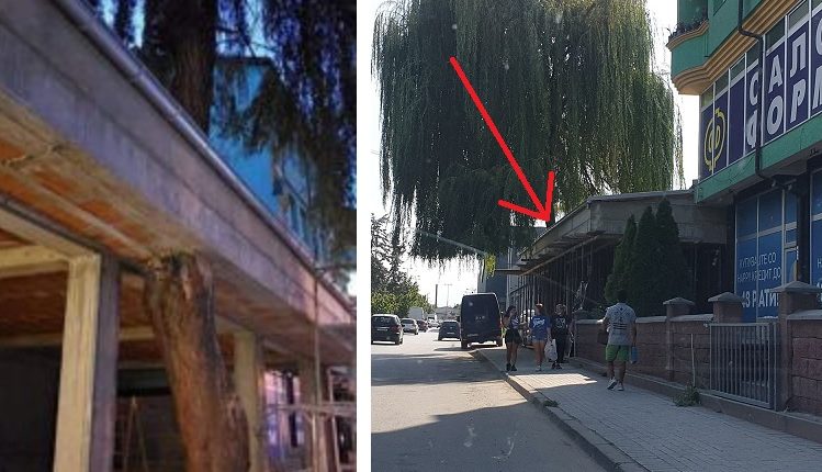 792653-tetovchani-baraat-intervencija-od-inspektoratot-po-primerot-na-fontana-vo-skopje