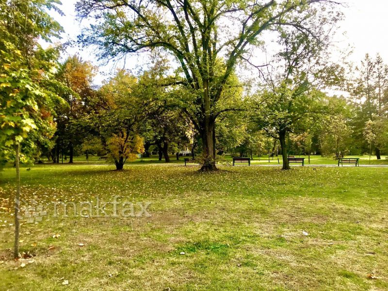 meteo-park-sonce-800x600