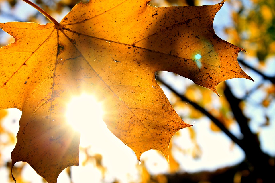 sun-1717412_960_720