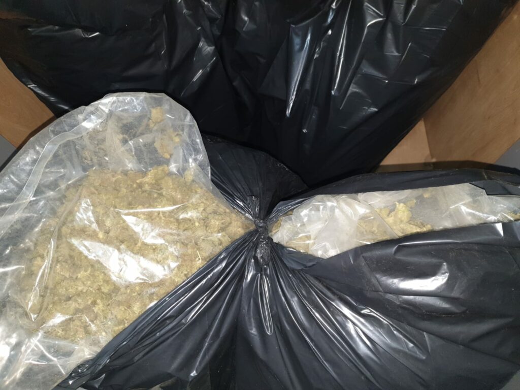 marihuana-krushevo-1
