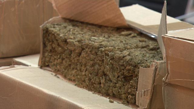marihuana-zaplena_2