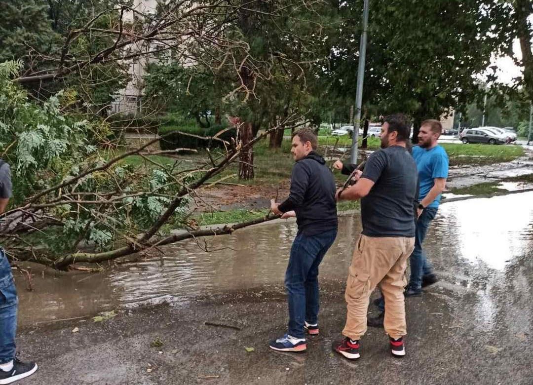 (ФОТО) Муцунски влече дрво, расчистува од невремето